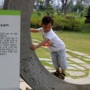 구립우리꿈어린이집 이미지