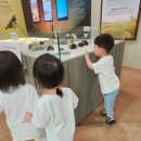 (주)무병장수테마파크 | 용인곤충테마파크 삼둥이들과 곤충박물관 나들이 후기