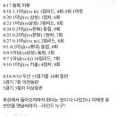 이승엽 :: 최지강 몇 년 전부터 갖고 있던 부상인데 등판이 많아지면서 부하가 걸렸다 이미지