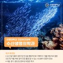 스쿠바수산