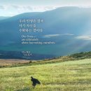 영어반(중급) 이미지