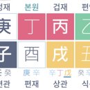 쓰임과 통찰, 사주명리 | 현묘의 인시일수론으로 해석한 박나래 사주