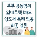 채도 이미지
