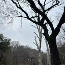 현대에스엔피 이미지