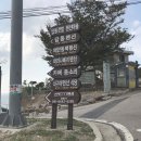 태일코스 이미지