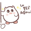 파파앤썬