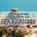 통영등대낚시공원 | 경남 통영 워킹 도보 문어낚시 포인트 베스트 13