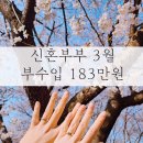 파이프라인몰 | 신혼부부 3월 부수입 183만원 파이프라인 5가지 공개