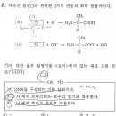 논란이 참 많은 카복실기의 루이스산... 이미지