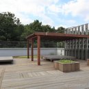 미소케어 이미지