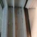 세안마을 이미지