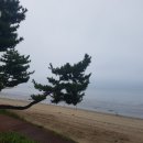 탐진사인마을 이미지