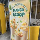 스쿱(SCOOP) | 나트랑 망고 아이스크림 | 망고 스쿱 Mango Scoop 후기