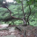 구례산동중학교 이미지