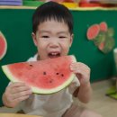 감각탐색/역할 - 🍉수박을 탐색해요/ 수박주스를 만들어요🥤(김강우) 이미지
