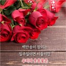 푸른초원 이미지