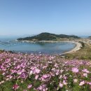 가을빛 콘서트 이미지