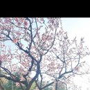 (유)라인디자인랩 네이버블로그