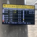 스테이공위 | 겨울 제주 / 한 달 살이 # DAY 1