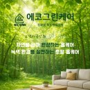 아너스 크리닝 이미지