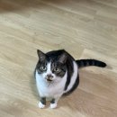 박희태 | 뻔뻔냉둥