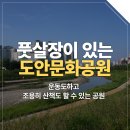 도안문화공원 풋살장 네이버블로그