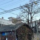 보배반점 함양점 | 과거와 현재가 공존하는 군산! 여행 1일차