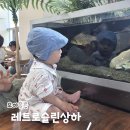 형제그린 | 모이몰른 등원룩 형제룩 여름 레트모슬린상하 아이보리 그린 아기 상하복