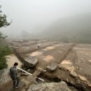 여송지성 이미지