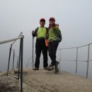 망성초등학교 이미지