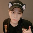 단디 카카오 검색결과