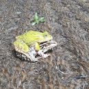 주석초등학교 이미지