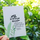 글꽃캘리그라피 이미지