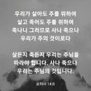 로마서 14장 8절 이미지