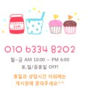 도그앤츄 네이버블로그