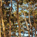 쉼표하나 이미지