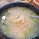 일산 벽제 국밥맛집 손님이 끊임없는 [한양 설렁탕] 후기