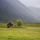 강원도 여행 동해안에서 가장 아름다운 길 환상의 드라이브 코스 헌화로 이미지