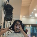 슈슈헤어샵