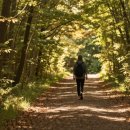 석수캠핑장 | [서울 둘레길 5코스 관악산 구간 초보 추천 힐링 가득한 안양 코스 완벽 가이드]