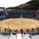 판문동3 이미지