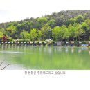 지청낚시터