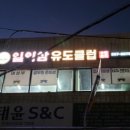 일이삼유도클럽 이미지