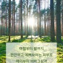 제이부띠 이미지