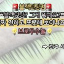 브로우수놀