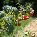 나이스스크린골프연습장 이미지