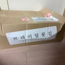 꽃길슈퍼 | W24. 본식 스냅 촬영, 앨범 수령 후기 / 브라이덜꽃길(파라다이스웨딩 스텔라홀)