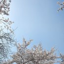 석천 이미지