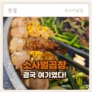 한우ok인공수정소 | 평택 소사벌 맛집 서서곱창 후기｜한우 곱창 솔직리뷰 (주차 꿀팁/아기의자)