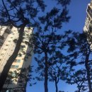 금강산 감자탕 이미지